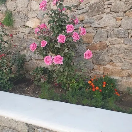 Διαμέρισμα Paoulas